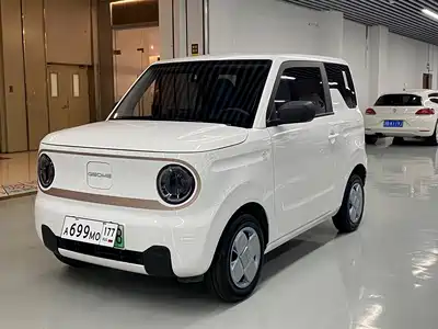 Geely Galaxy Panda 2025