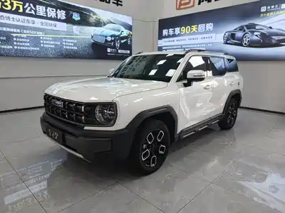 Haval Cool Dog 2024