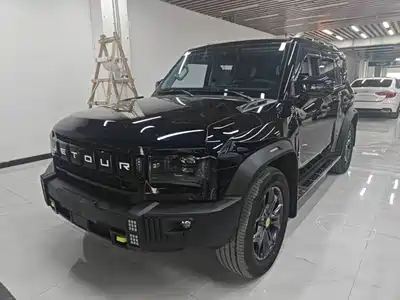 Jetour Shanhai T2 2024