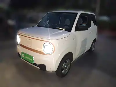 Geely Galaxy Panda 2025