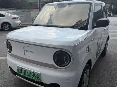 Geely Galaxy Panda 2023