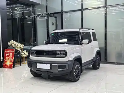 Baojun Yep 2025