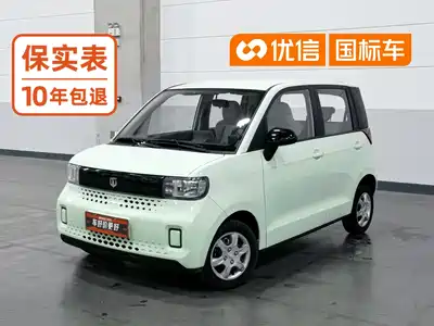 Baizhi New Energy Big Bear 2022