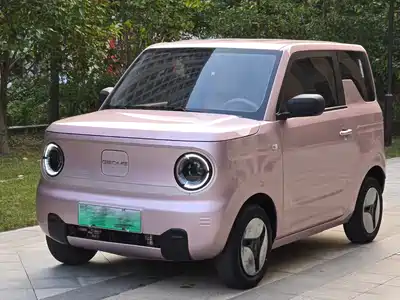 Geely Galaxy Panda 2023
