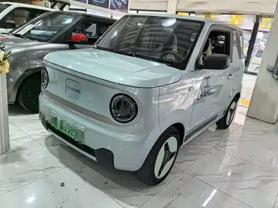Geely Galaxy Panda 2023