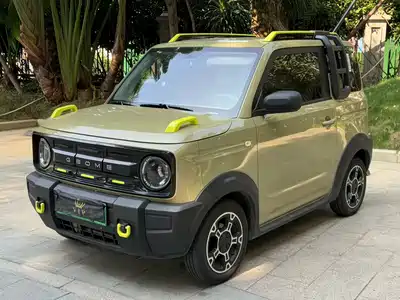 Geely Galaxy Panda 2025