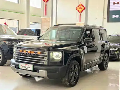 Haval Meng Long NEV 2024