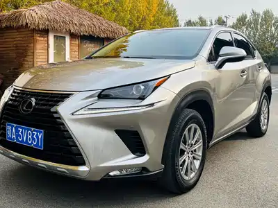 Lexus NX 2022