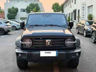 Tank 300 2025