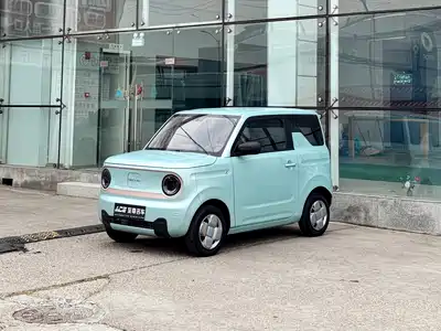 Geely Galaxy Panda 2024