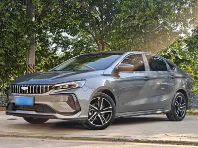 Geely Binrui 2023