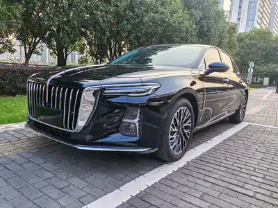 Hongqi H5 2024