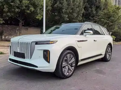 Hongqi E-HS9 2022