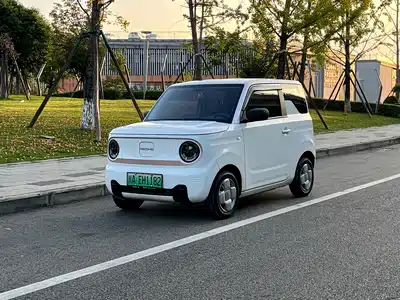 Geely Galaxy Panda 2024