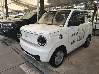 Geely Galaxy Panda 2024