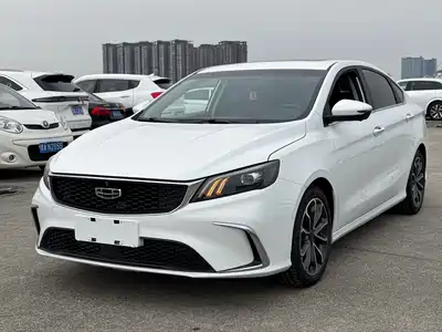 Geely Binrui 2021