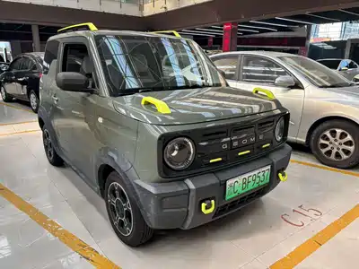 Geely Galaxy Panda 2024