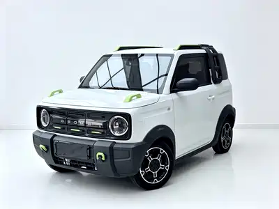 Geely Galaxy Panda 2024