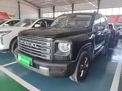 Haval Meng Long NEV 2024