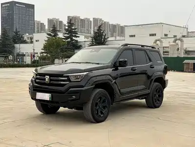 Tank 400 New Energy 2024