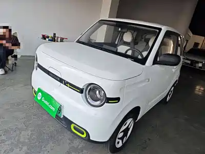 Geely Galaxy Panda 2025