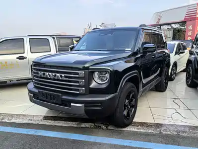 Haval Meng Long NEV 2024