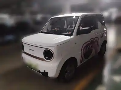 Geely Galaxy Panda 2024