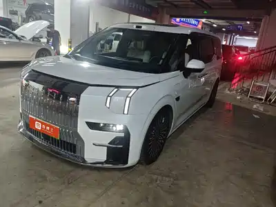 ZEEKR 009 2024