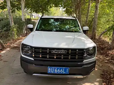 Haval Cool Dog 2022