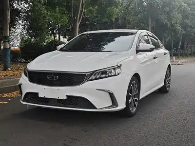 Geely Binrui 2021