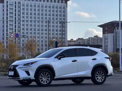 Lexus NX 2020
