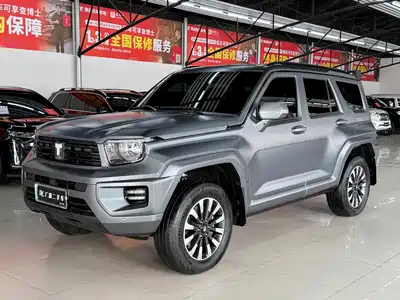 Tank 700 New Energy 2024