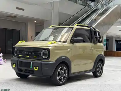 Geely Galaxy Panda 2024