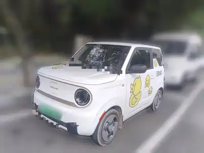 Geely Galaxy Panda 2024