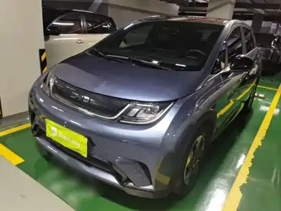 BYD Dolphin 2024