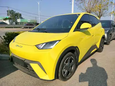 BYD Seagull 2024