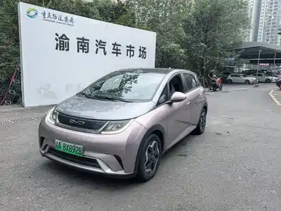 BYD Dolphin 2022