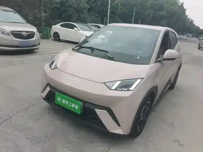 BYD Seagull 2024