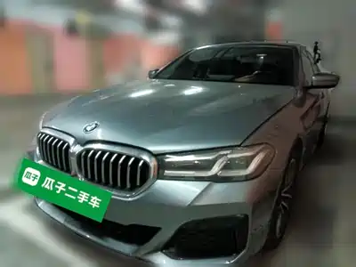BMW 5 Series (Import) 2020