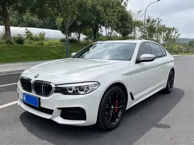 BMW 5 Series (Import) 2019