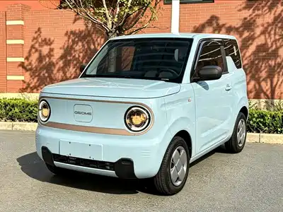 Geely Galaxy Panda 2024