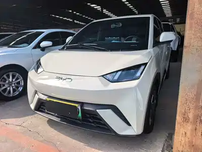 BYD Seagull 2025