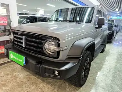 Tank 300 2021