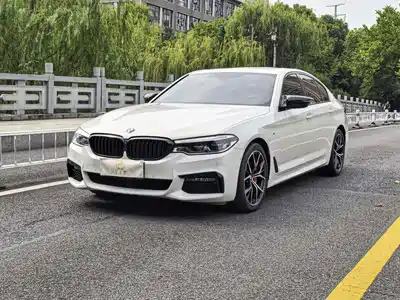 BMW 5 Series (Import) 2019