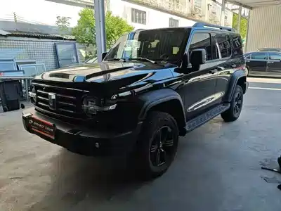 Tank 300 2025