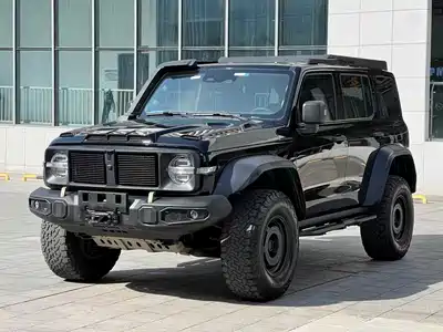 Tank 300 2024