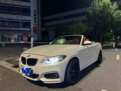 BMW 2 Series (Import) 2019