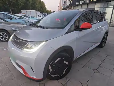BYD Dolphin 2021