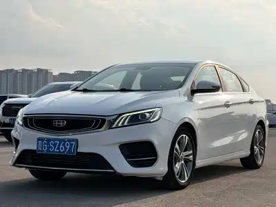 Geely Binrui 2019