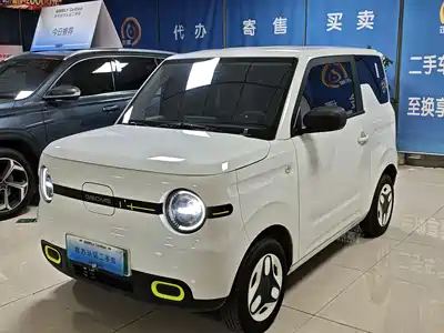 Geely Galaxy Panda 2026